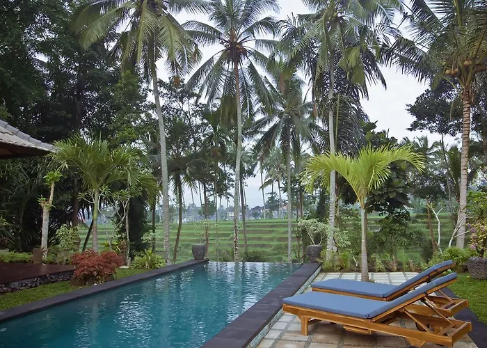 Junjungan Pool & 3*
