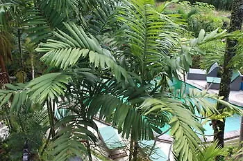 Junjungan Pool &