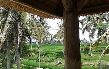 Junjungan Pool & 3*